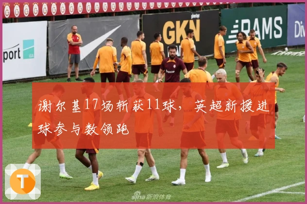 谢尔基17场斩获11球，英超新援进球参与数领跑